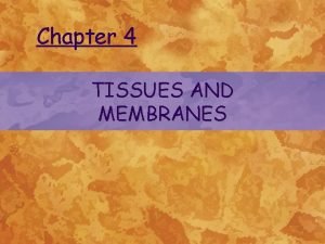 Chapter 4 TISSUES AND MEMBRANES TISSUES 4 Main