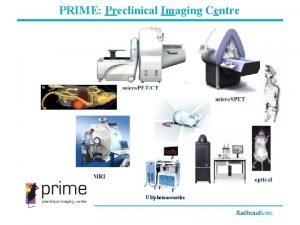 PRIME Preclinical Imaging Centre USphotoacoustics PRIME granted DTL