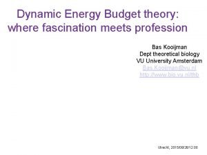 Dynamic Energy Budget theory where fascination meets profession