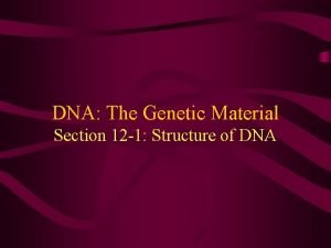 DNA The Genetic Material Section 12 1 Structure