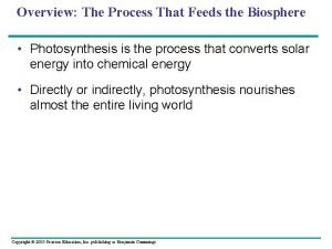 Overview The Process That Feeds the Biosphere Photosynthesis
