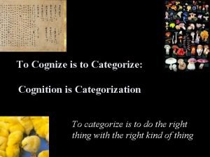 To Cognize is to Categorize Cognition is Categorization