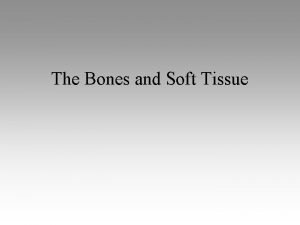 The Bones and Soft Tissue Bones Consist of