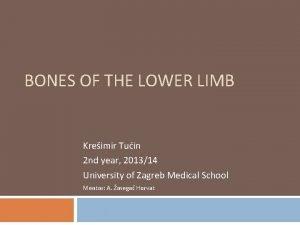 BONES OF THE LOWER LIMB Kreimir Tuin 2