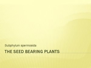 Life cycle of seed bearing plants