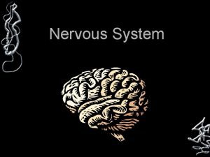 Nervous System Parts of the Nervous System Brain