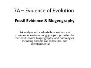 7 A Evidence of Evolution Fossil Evidence Biogeography