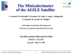 The Minicalorimeter of the AGILE Satellite IASF Bologna