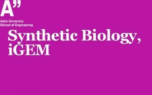 Synthetic Biology i GEM What is i GEM