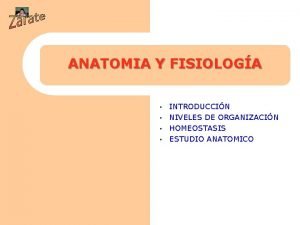 ANATOMIA Y FISIOLOGA INTRODUCCIN NIVELES DE ORGANIZACIN HOMEOSTASIS