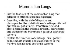 Mammalian lung diagram