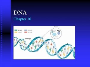 Section 10-1 discovery of dna