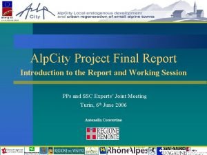 Alp City Project Final Report Introduction to the