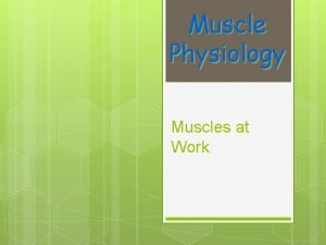 Muscle Physiology Muscles at Work Muscle Teamwork Muscles
