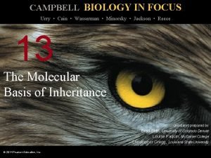 CAMPBELL BIOLOGY IN FOCUS Urry Cain Wasserman Minorsky
