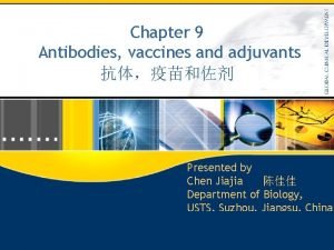 Chapter 9 Antibodies vaccines and adjuvants Presented by