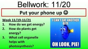 Bellwork 1120 Put your phone up Week 1119