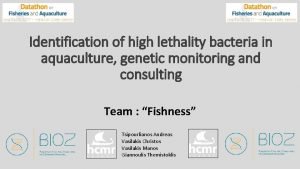 Identification of high lethality bacteria in aquaculture genetic