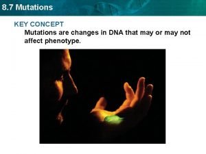 8 7 Mutations KEY CONCEPT Mutations are changes