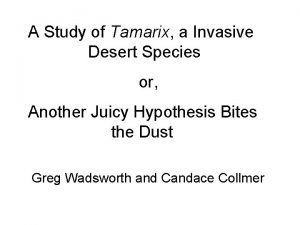 A Study of Tamarix a Invasive Desert Species