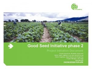 Good Seed Initiative phase 2 Project Initiation Document