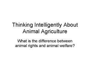 Thinking Intelligently About Animal Agriculture What is the