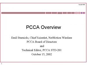 Copyright 2002 PCCA Overview Emil Sturniolo Chief Scientist