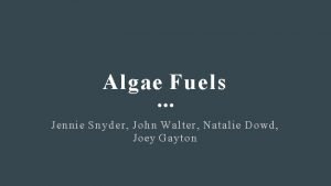 Algae biodiesel