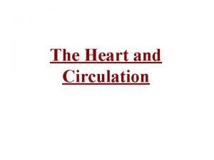 The Heart and Circulation Cardiovascular System Function Functional