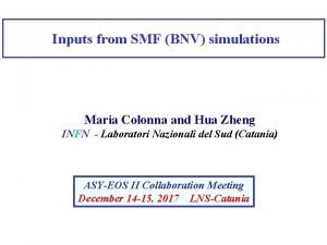 Inputs from SMF BNV simulations Maria Colonna and