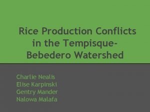 Rice Production Conflicts in the Tempisque Bebedero Watershed
