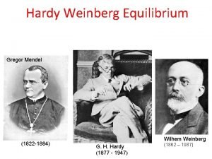 Hardy weinberg equilibrium expected values