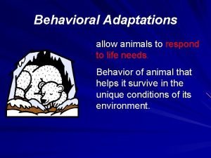 Animal behavioral adaptations examples