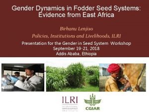 Gender Dynamics in Fodder Seed Systems Evidence from