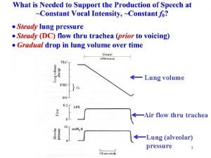 Lung volume Air flow thru trachea Hillenbrand Respiration