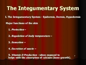The Integumentary System I The Integumentary System Epidermis