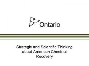 Strategic and Scientific Thinking about American Chestnut Recovery