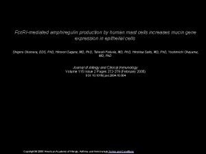 FcRImediated amphiregulin production by human mast cells increases