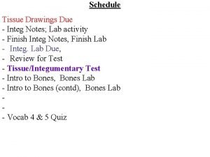 Schedule Tissue Drawings Due Integ Notes Lab activity