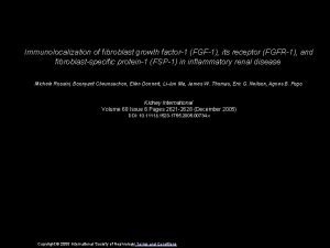 Immunolocalization of fibroblast growth factor1 FGF1 its receptor