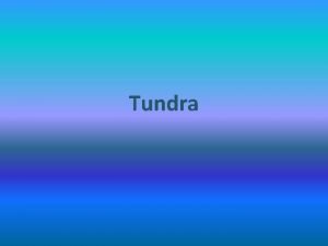 Tundra Climate In the Tundra the winter temperature