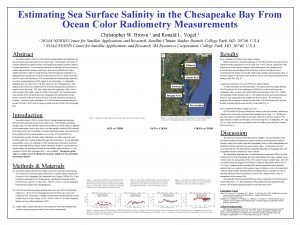 Estimating Sea Surface Salinity in the Chesapeake Bay