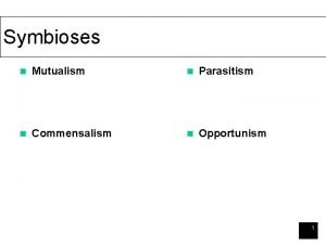 Symbioses n Mutualism n Parasitism n Commensalism n