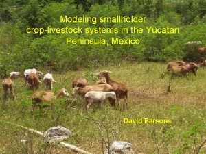 Modeling smallholder croplivestock systems in the Yucatan Peninsula