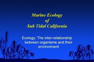 Marine Ecology of Sub Tidal California Ecology The