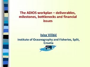 The ADIOS workplan deliverables milestones bottlenecks and financial