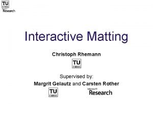 Interactive Matting Christoph Rhemann Supervised by Margrit Gelautz
