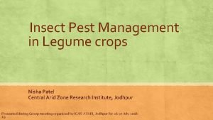 Insect Pest Management in Legume crops Nisha Patel