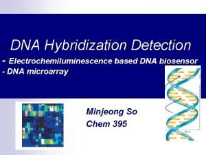 DNA Hybridization Detection Electrochemiluminescence based DNA biosensor DNA