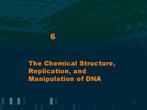 Chemical composition of gene
